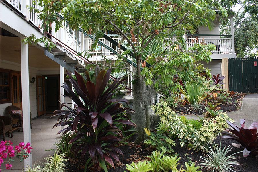 Ellie'S Guest House Μπρίσμπεϊν Εξωτερικό φωτογραφία